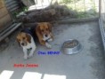 /album/rodicia/benny-a-jessina-1-jpg/